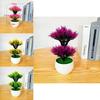 Plastic Artificial Green Plant With Double Layer Feathery Foliage For Home Decor And Office Display