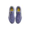 Nike LeBron Ambassador 13 EP CQ9329-500