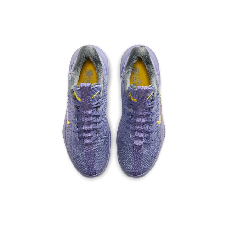 Nike LeBron Ambassador 13 EP CQ9329-500