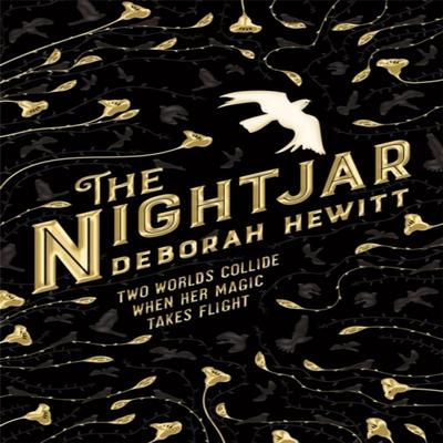 The Nightjar by Deborah Hewitt Paperback Book 9781509896462