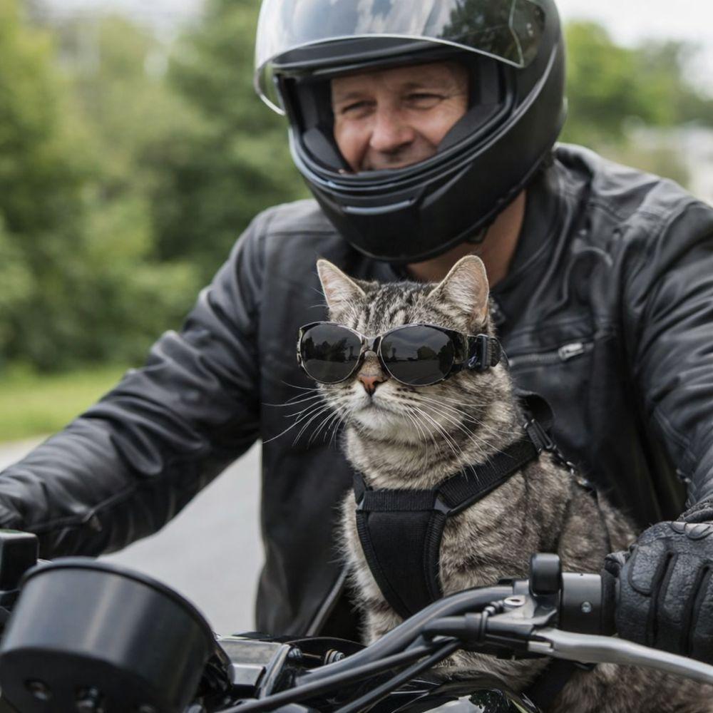 Dustproof Pet Waterproof Glasses Windproof Dog Eye Wear Fashion Anti UV Pet Goggles  Summer Use