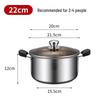 22cm 304 Stainless Steel Multi-purpose Cooking Pot