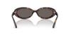 sunglasses for Crystal Dark Grey Lens Model 0RB2223F Ray-Ban women. Frame Havana. Lens (1.9). width 54mm. number