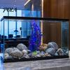 Stable Fish Tank Plants Artificial Water Plant, Aquarium Decoration, Purple Blue Gradient Color Durable Plant Decoration Plastic Leaves, Safe Ornament