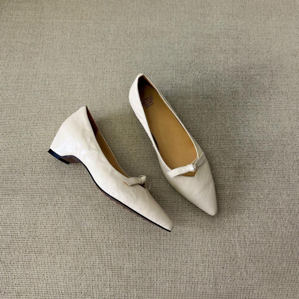 Retro High-heel Commuting Shoes for Women - Pointed Toe, Elegant Style, Single Shoe