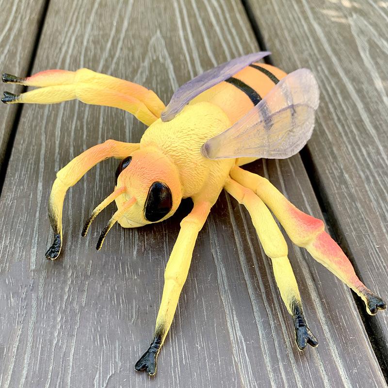 Large sized insect animal simulation model, spider, locust, scorpion, ant, unicorn fairy, children's educational cognitive ornam
