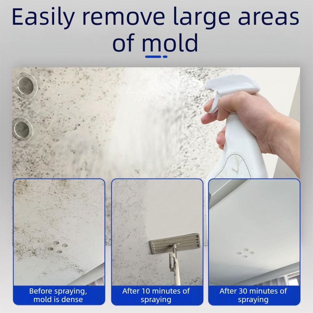 240ML Küf Giderici Sprey, Banyo Mutfak Köşeleri İçin Güçlü Küf Temizleyici, Beyaz Duvarlar İçin Çok Fonksiyonlu Küf Önleyici