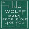 Many People Die Like You by Lina Wolff Paperback Book 9781911508809