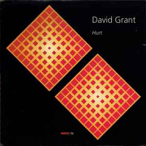12inch Record DAVID GRANT  Hurt INTOX104 Indisc 1992 Europe Dance  Electronica Used