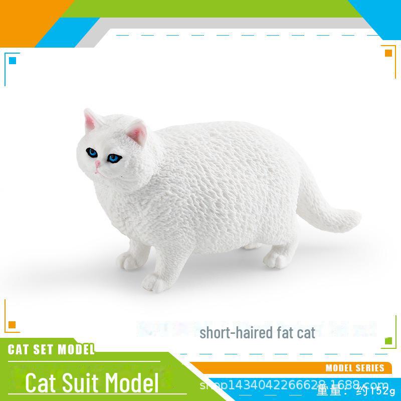 Seashell Cat Figurine: Realistic Kitten Toy Model