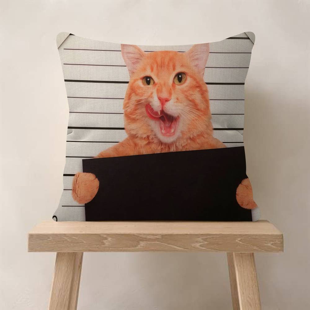 Cute Cat Pillow Gift Home Office Decoration Bedroom Sofa Car Cushion Cover Case 45x45
