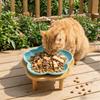 Large Capacity Pet Food Bowl Cervical Spine Protection Cat Water Bowl Dog Food Feeder  Outdoor Use