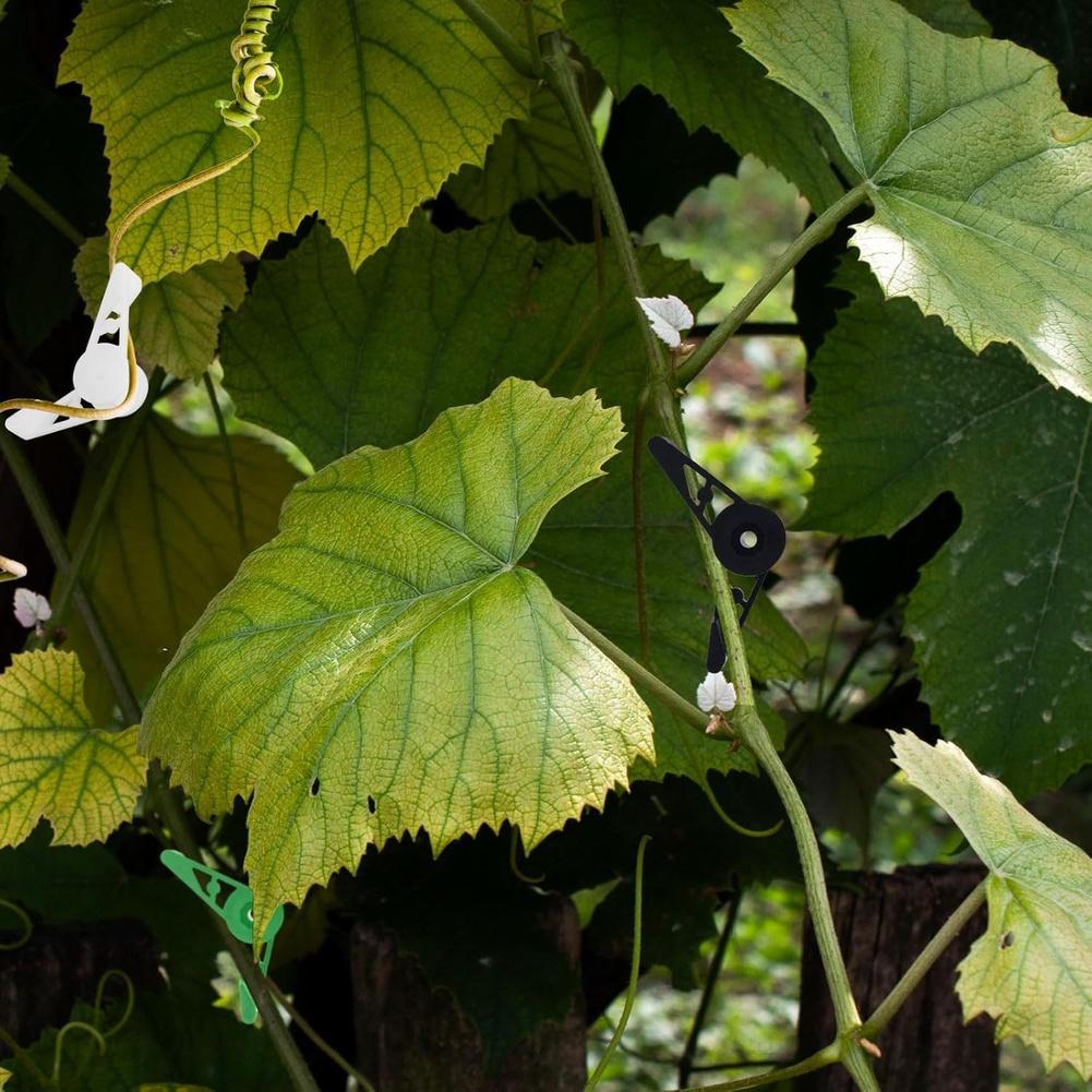 Bud Trainer Plant Training Clips 360 Degree Adjustable Plant Branches Clips Plant Cages & Supports Structures Bud Bender China Mainland