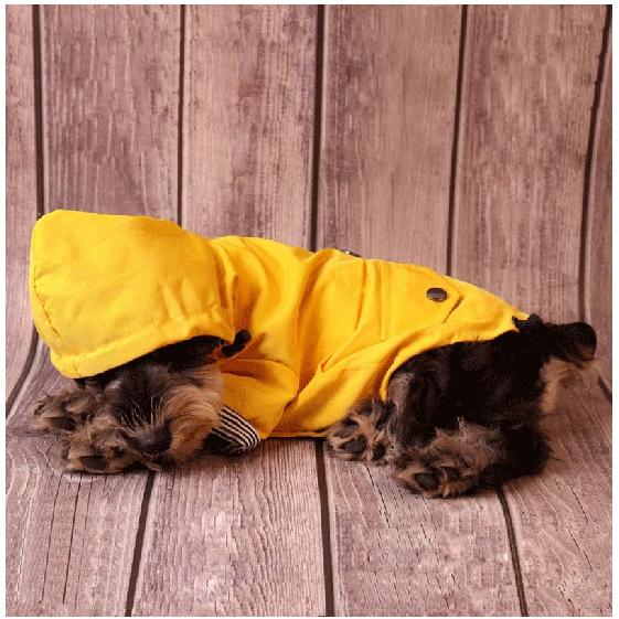 Hundejacke wasserdichter Regenmantel Haustier Kostüm Mantel Winter warm Hundekleidung Französische Bulldogge winddicht großer Hundemantel Chihuahua Outfits