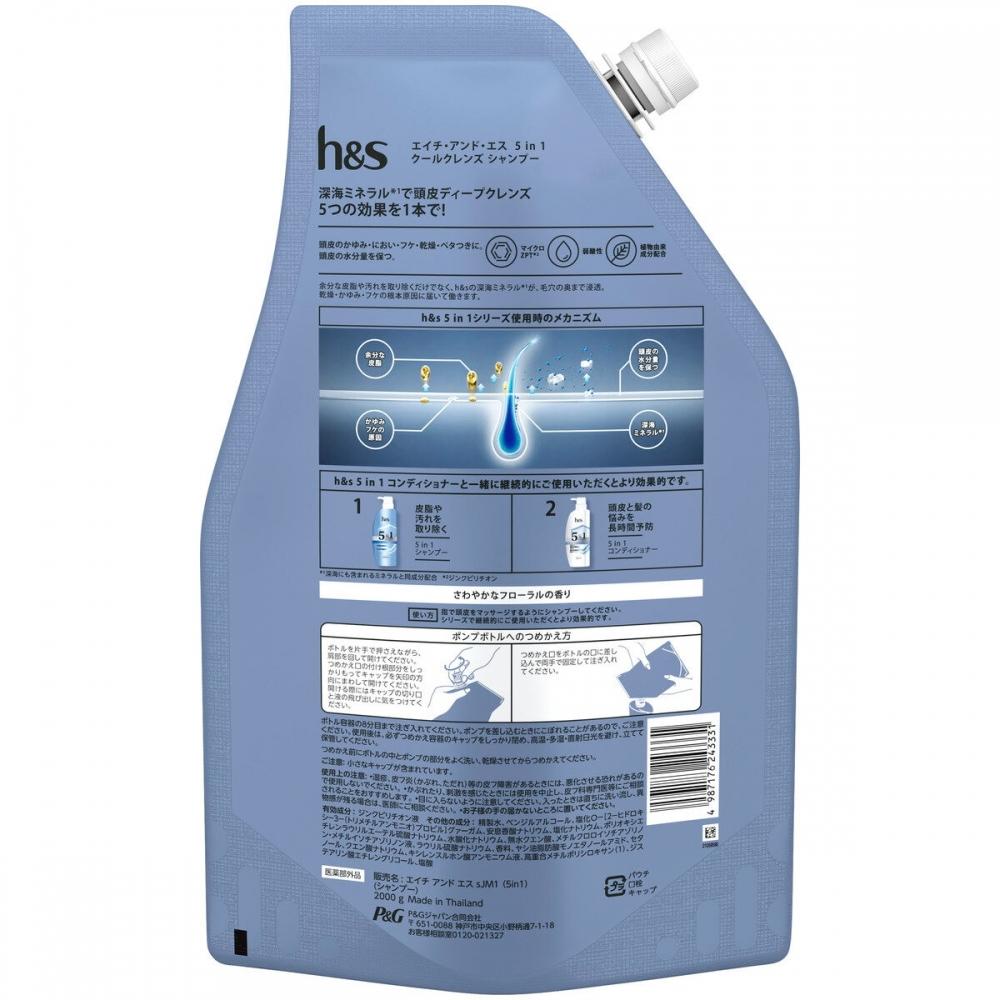 H S H S 5 In 1 Cool cleanSe SHampoo 2000g