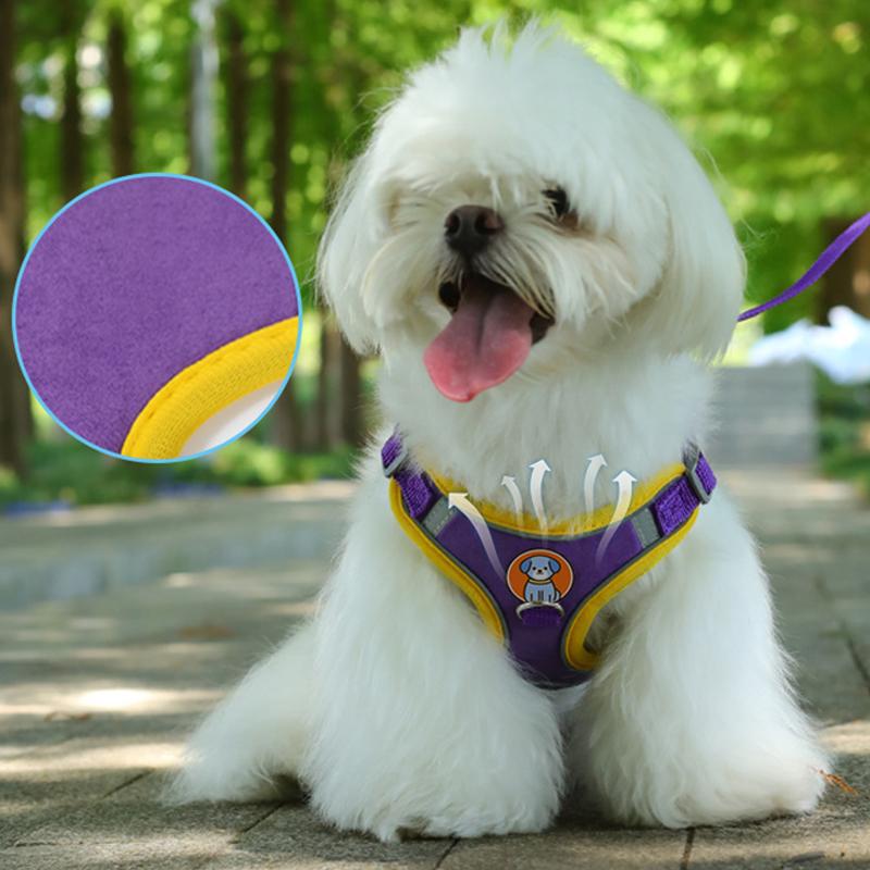 Kleine Hunde Verstellbare Haustierleine Weste Brustgeschirr Mit Zugseil Haustier Outdoor Zubehör Atmungsaktives Geschirr Leine Welpen Weste