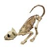 Creative Halloween Scary Skeleton Decoration Crouching Cat Skeleton Cat Skull Model Creepy Animal Bones for VAMPIRE Party Trick