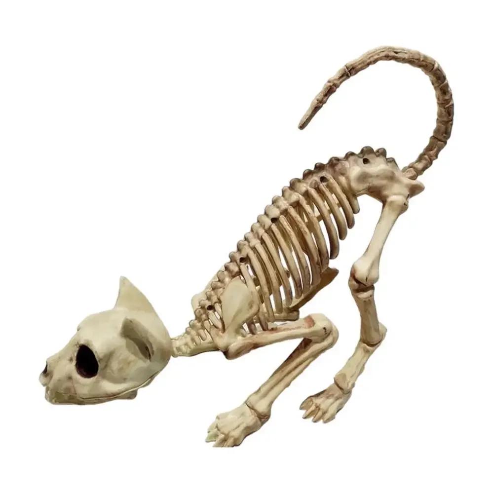 Creative Halloween Scary Skeleton Decoration Crouching Cat Skeleton Cat Skull Model Creepy Animal Bones for VAMPIRE Party Trick