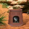 Reptiles – Terrarios de reptiles