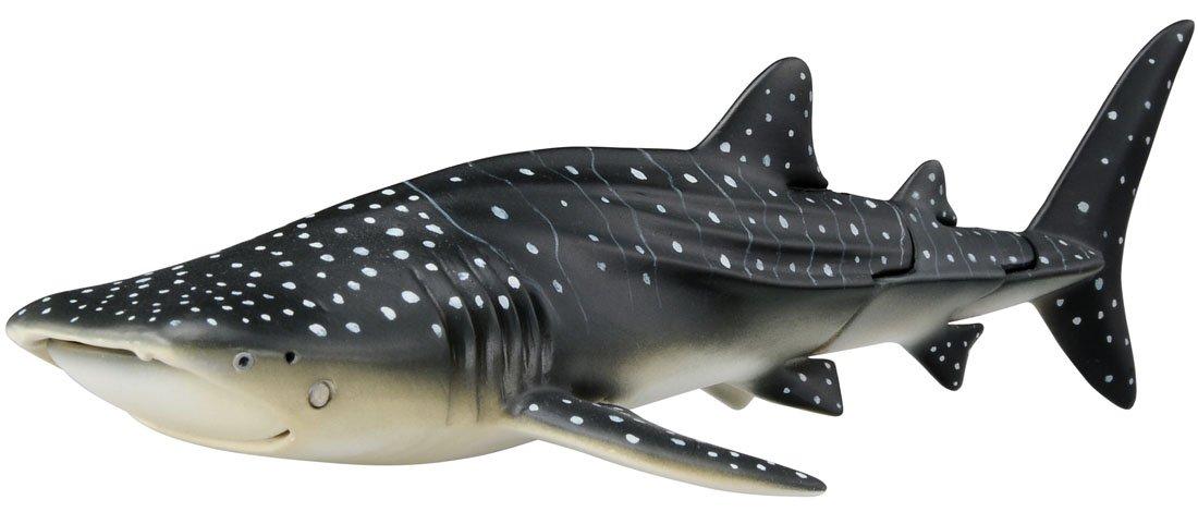 

Ania Whale Shark AL-05