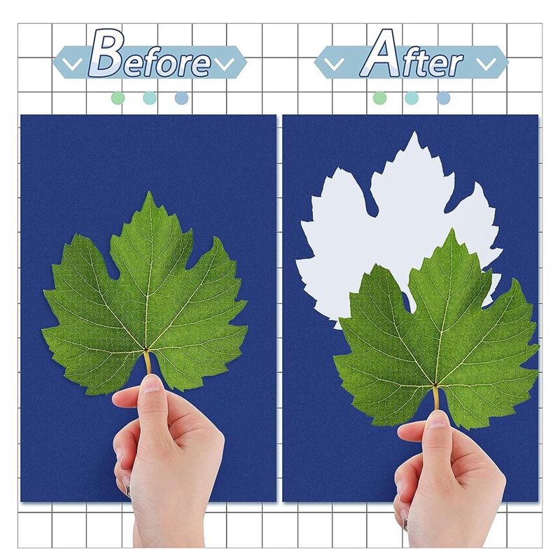 AEE2-48 Sheets Sun Print Paper Nature Printing Paper For Kids Adults Arts Crafts DIY With Clamp Board