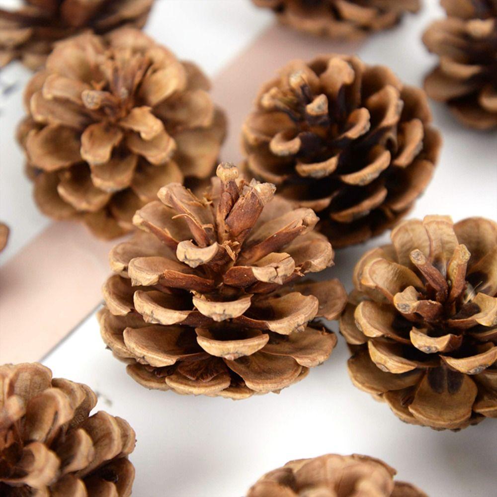 Wreath Western Food Plate Natural Pine Nut Artificial Flower Florist Decoration Wedding Decoration