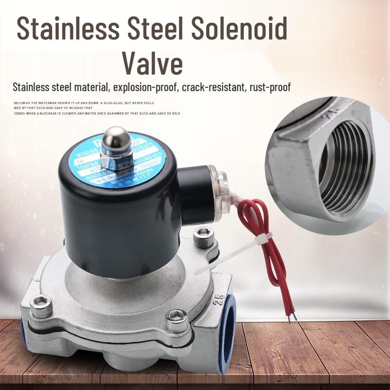 Mitaopai 304/316 Stainless Steel 220V Solenoid Valve