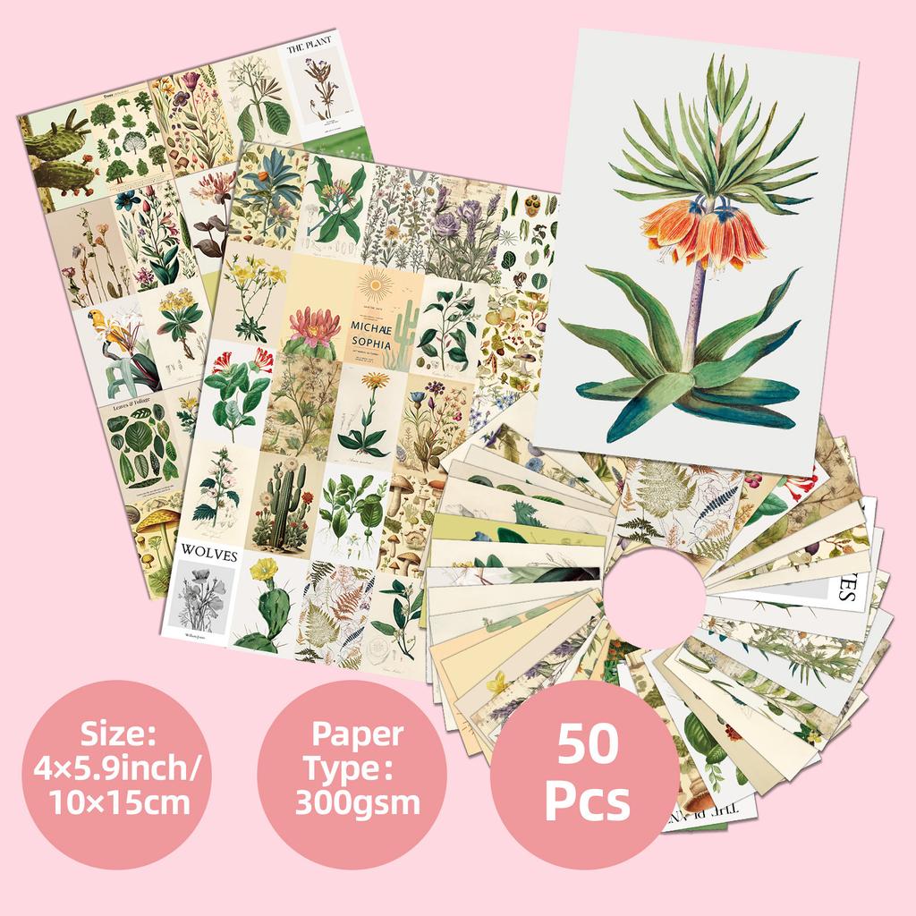 50 Flora And Fauna Wall Card Background Dormitory Wall Decoration Retro Flower Card Warm Heart Message Card Postcard