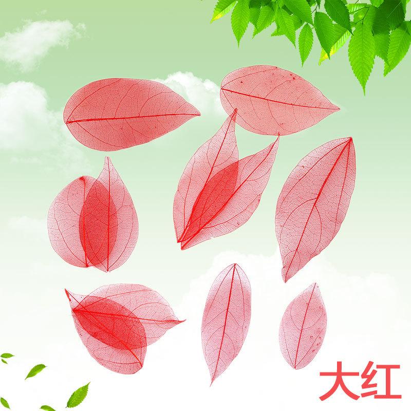 Dried Flowers Natural Skeleton Leaf Vein DIY Handmade Materials Nail Art Flowers Material for Wedding Party Home Decor-20/24pcs