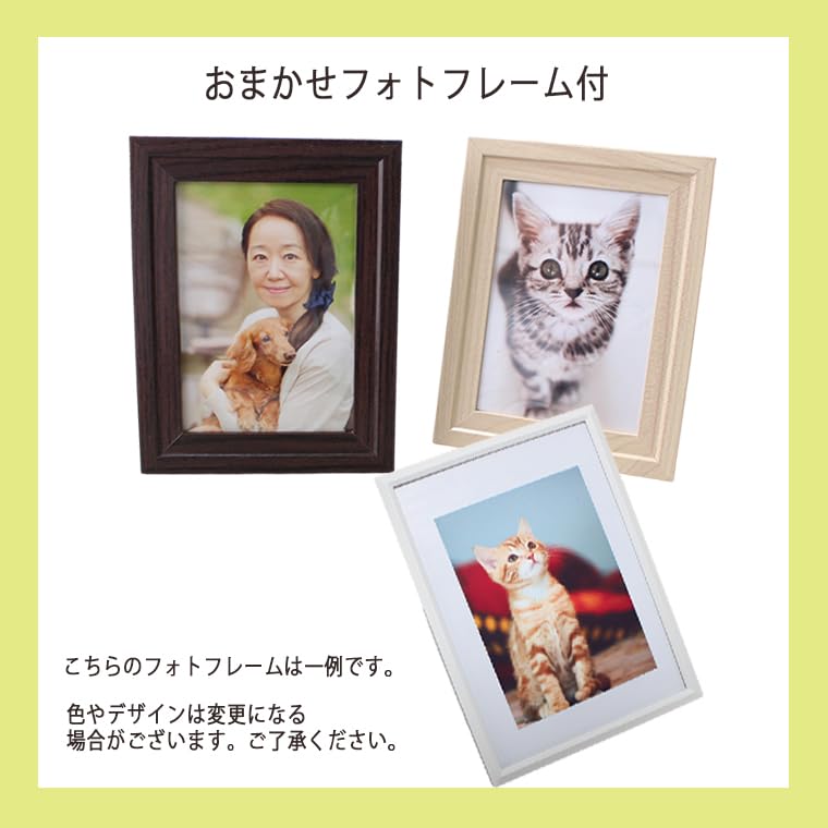 Pet Memorial Obon Decoration Set (Dog) with Spirit Horse Purification Set, 8 Candles, and Photo Frame