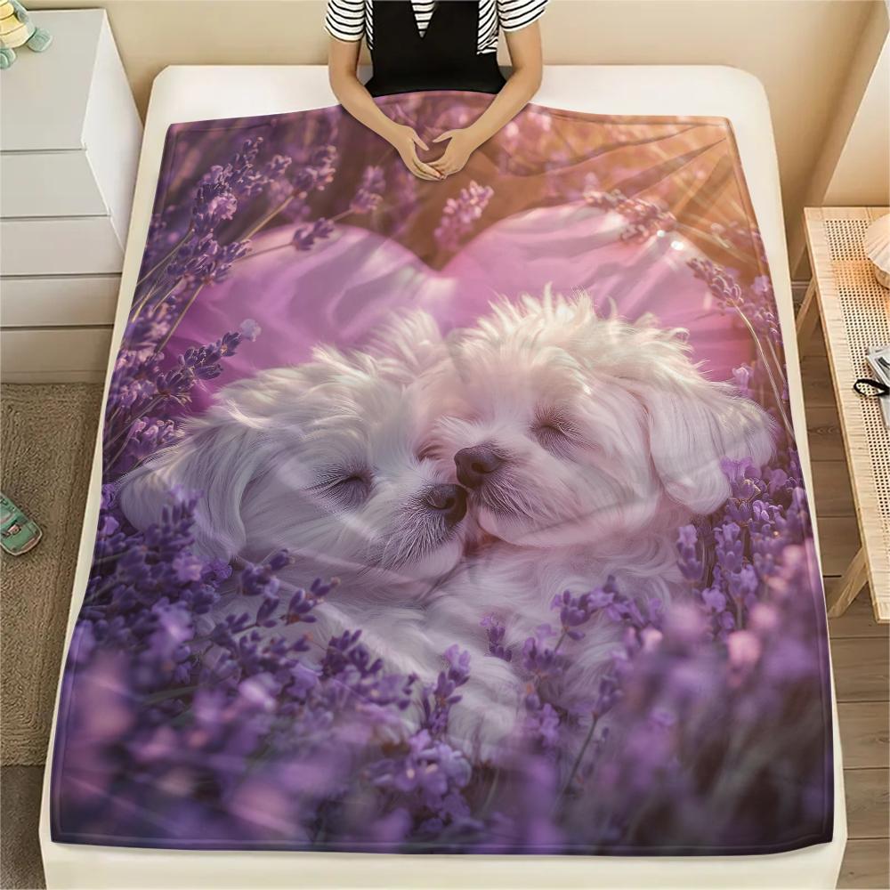 Colorful Maltese dog,pattern Flannel Blanket, High quality Comfortable for All Seasons, Home Decor, Warmth and Comfort, Perfect for Gifts.