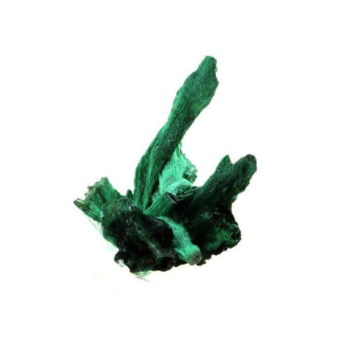 Pierres et Minéraux. Malachite. 316.5 ct. Katanga, Congo.