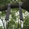 Heavy Duty Nylon Swing Rope Straps, Outdoor Hammock Hanging Kit with Carabiners, Adjustable Tree Swing Connecting Straps
