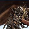 357g Tè Puerh Shen Bingdao Albero Antico Tè Puerh Crudo Torta di Tè Puerh Tè Pu erh