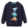 European Style Boys' Cotton Long Sleeve Hoodie - Autumn/Winter Children's Clothing