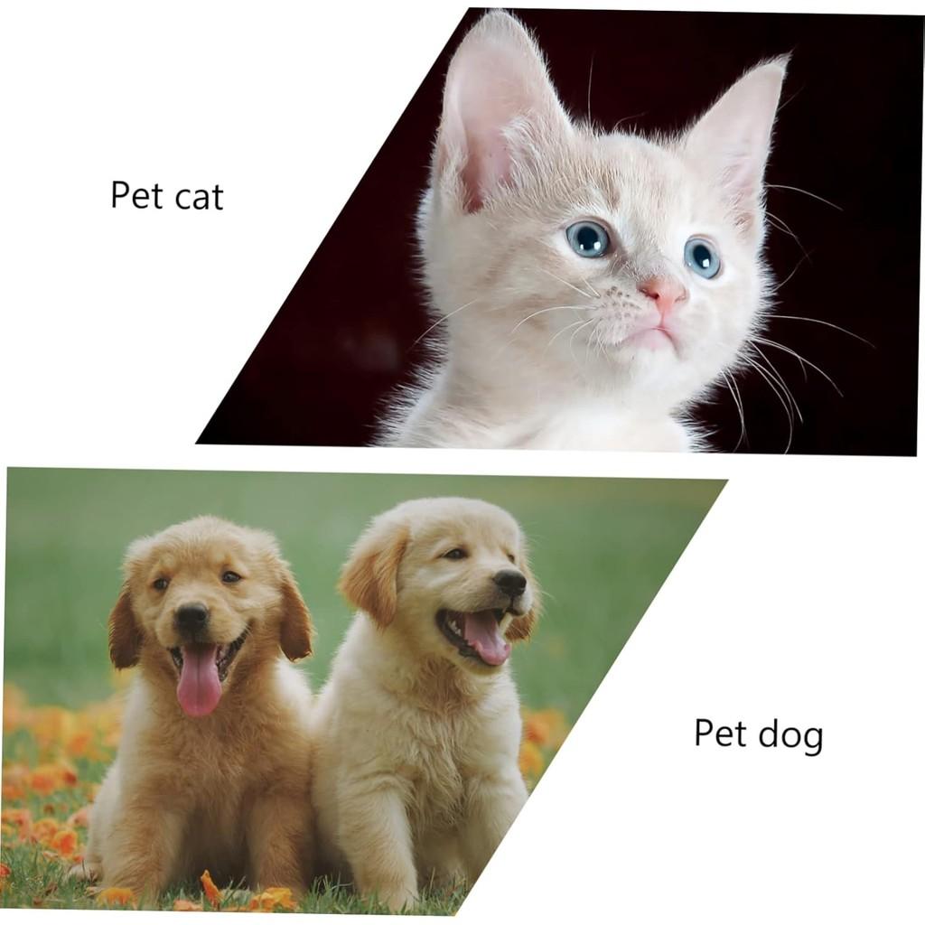 Pet Collar Colored Collar Cat Dog Bell Necklace Adjustable Dog Collar Soft and Comfortable