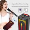 Vankyo B69S Wireless Outdoor Bluetooth Karaoke Speaker