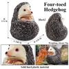 Oenux Simulation Wild Jungle Forest Animals Hedgehog Model Action Figures Cake Topper Party Favor Cute Education Kid Toy Gift