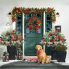 Decorazioni e accessori per feste – Decorazioni natalizie