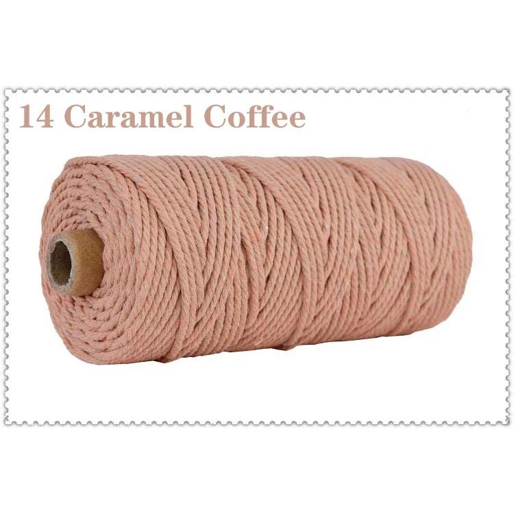 3mm 100% Cotton Cord Colorful Handmade Rope Twisted Macrame String DIY Home Wedding Decoration Supply Film Packaging 100m