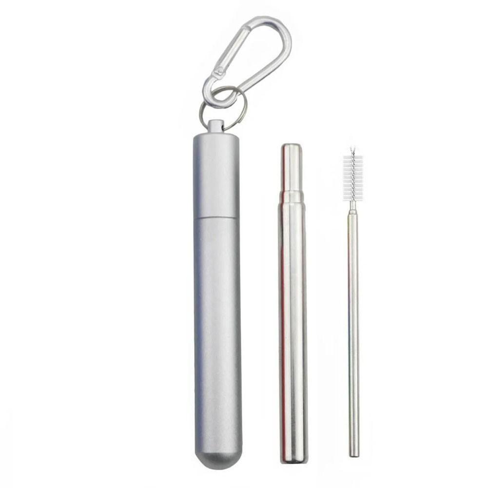 Collapsible Straw Set with Silicone Tips and Carabiner Hook