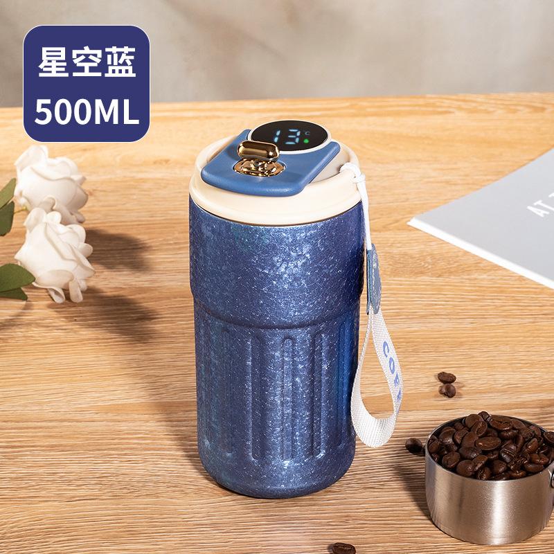 450ml Thermos Bottle Smart Display Vacuum Cup Office Coffee Cup Business Portable Temperature 316 Stainless Steel Thermal Mug