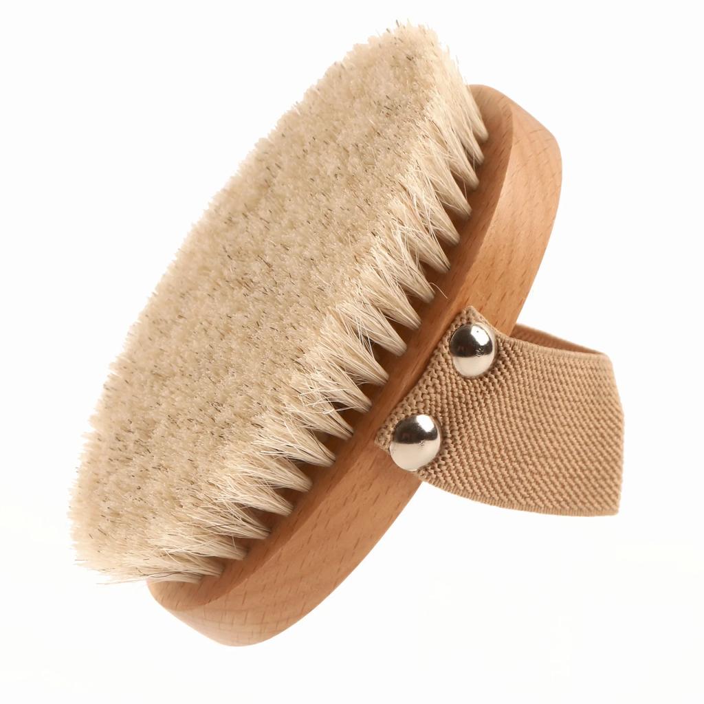 Natural Beech Bristle Brush Bath Brush Meridian Dredging Body Beech Wood Dry Brush Exfoliatin Massage Control Blood Circulation