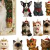 Christmas Cat Lover Advent Calendar PVC Ornament for Tree Decor 24-Day Countdown Box Gift for Kids Family