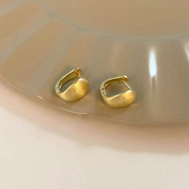 925 Sterling Silver Hoop Earrings: 2025 Modern Niche Design - Elegant & Luxurious for Women