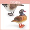Realistic Decorative Animal Model Set Featuring Colorful Duck Sparrow Finch And Tit For Home And Office Display