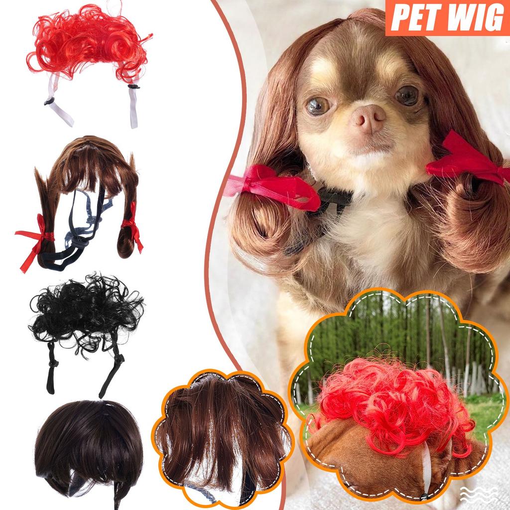 Pet Cat Dog Funny Show MOE Wig Explosives Head With Fringe Small Braids Wig