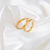 Trendy Hoop Earrings Stainless Steel Gold Plated Round Huggie Earrings For Women Party Jewelry Gifts Accessories