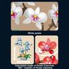 Kreative Schmetterling Orchidee Phalaenopsis Topf Modell Bausteine ​​10311 MOC Blumen Pflanzen Bonsai Ziegel Spielzeug Valentinstag Geschenk