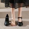Fashion Comemore High-heeled Women Shoes Large Size Chunky Heel Mary Jane Shoes Temperament Shallow Mouth Spring Autumn Pumps for Women